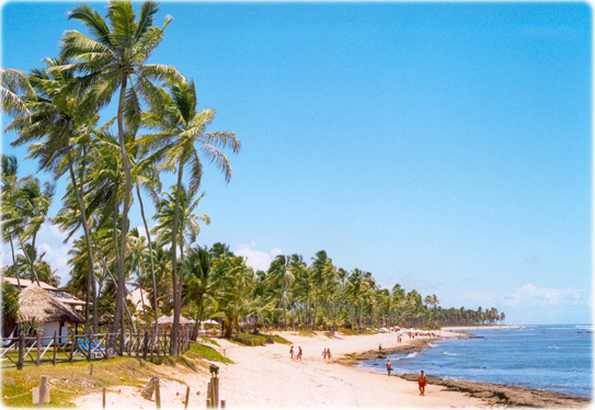Beach Bahia