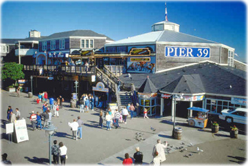 Pier 39